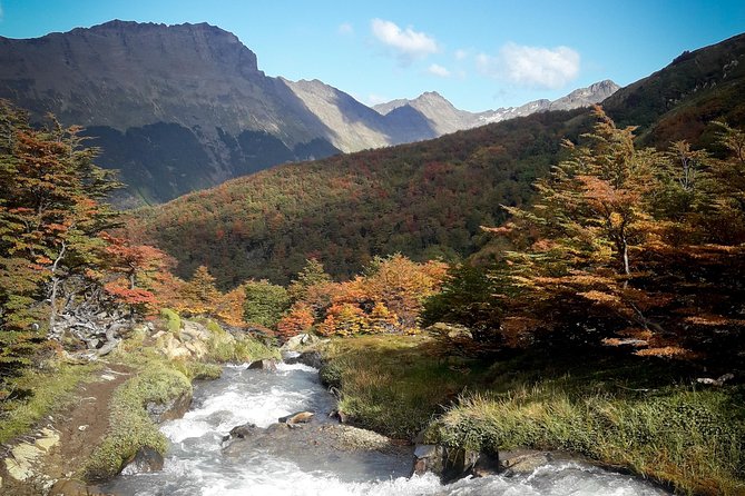 Small group Trekking to Vinciguerra Glacier and Témpanos Lagoon - Through Cerro Alarken and the Valley of Andorra