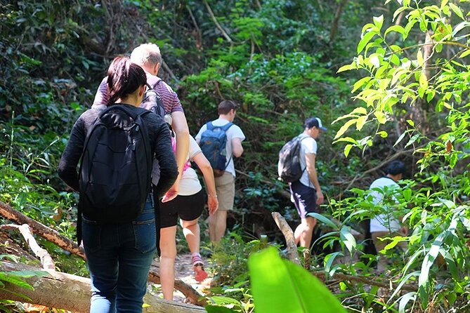 Small Group : Trekking Trip in Chiang Mai (Doi Suthep Area) with Market Tour - A six-hour Chiang Mai outing with a clear purpose