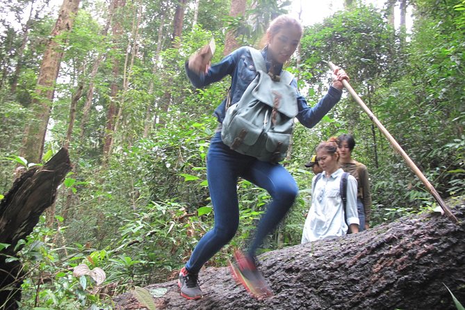 Small Group : Trekking Trip in Chiang Mai (Doi Suthep Area) with Market Tour - Morning Fresh Market: a useful start before the forest