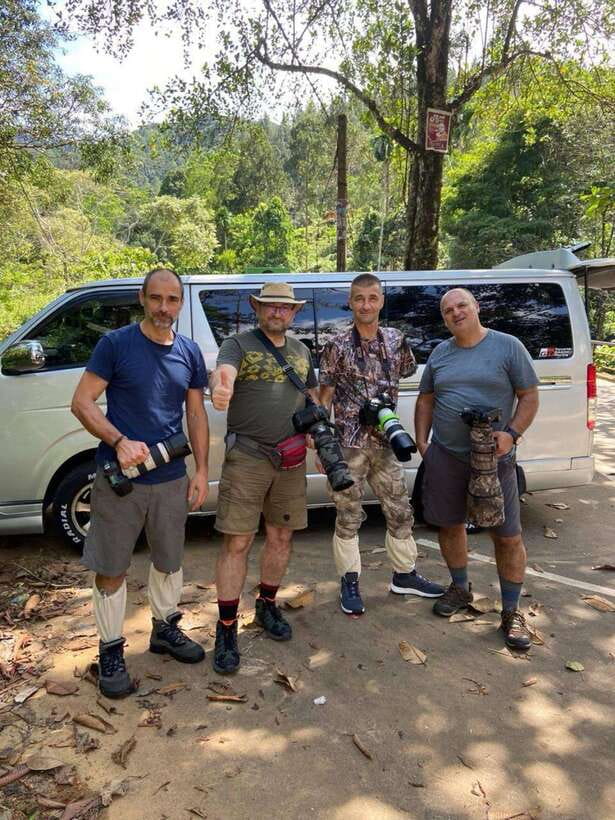 Sri Lanka : Sinharaja Rainforest Guided Trek with Pickup - Langurs, vipers, frogs, and smaller forest life