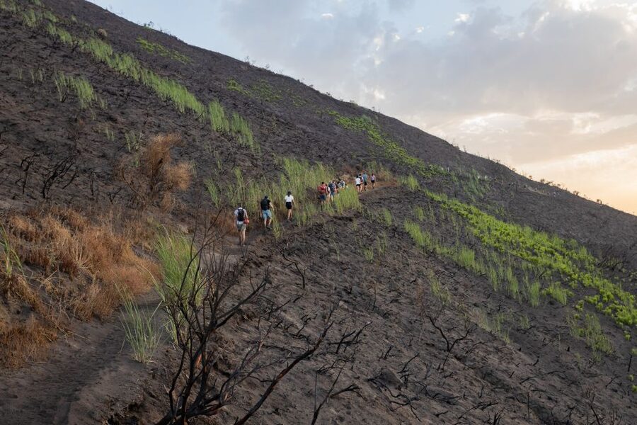Stromboli: Sunset Trekking at Sciara del Fuoco - What the $35 price really includes