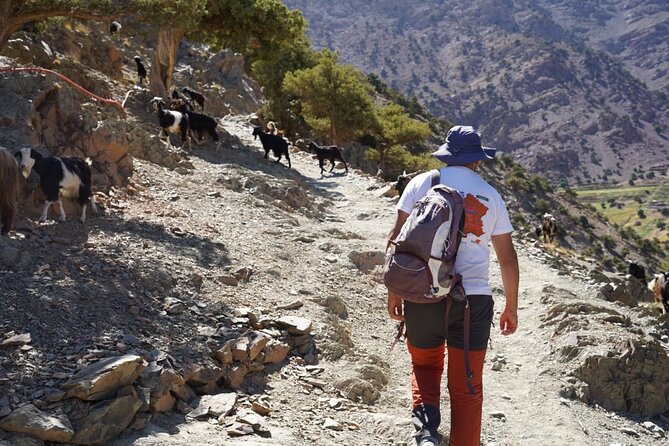 Summiting and Hiking the Atlas Mountains Day Trek from Marrakech - A different trail back through Tidli Plateau