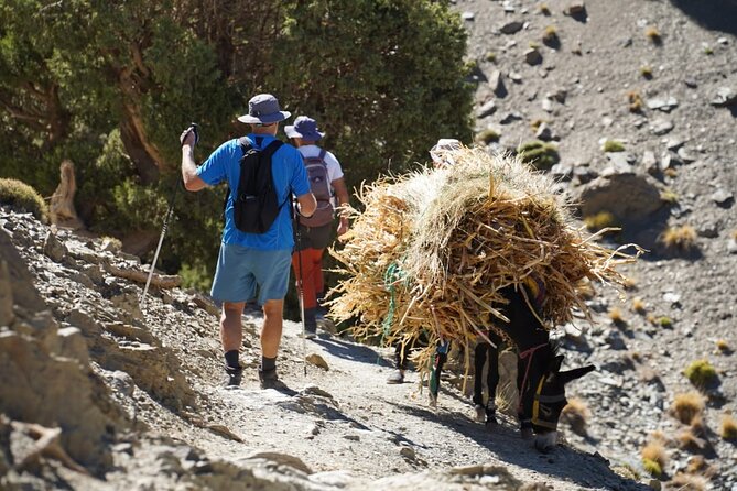 Summiting and Hiking the Atlas Mountains Day Trek from Marrakech - Isk summit views toward Mount Toubkal