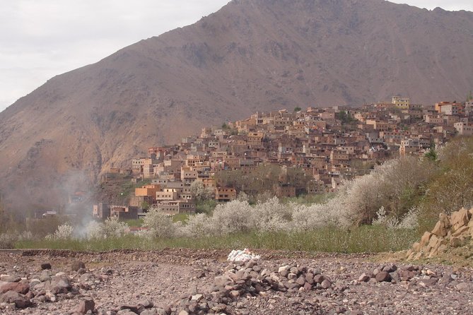 Summiting The Atlas Mountains, Day Hike & Trek From Marrakech - Mint tea above Imlil at 1,700 meters