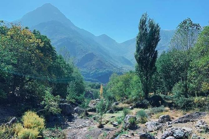 Summiting The Atlas Mountains, Day Hike & Trek From Marrakech - A family lunch with Berber hospitality