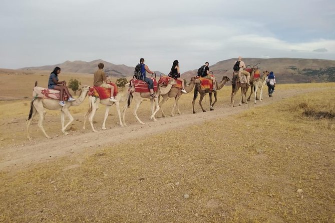 Summiting The Atlas Mountains, Day Hike & Trek From Marrakech - The camel ride and the ride back