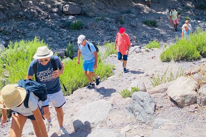 Summiting the Beautiful Atlas Mountains, Day Hike & Trek - Key Points Before You Book