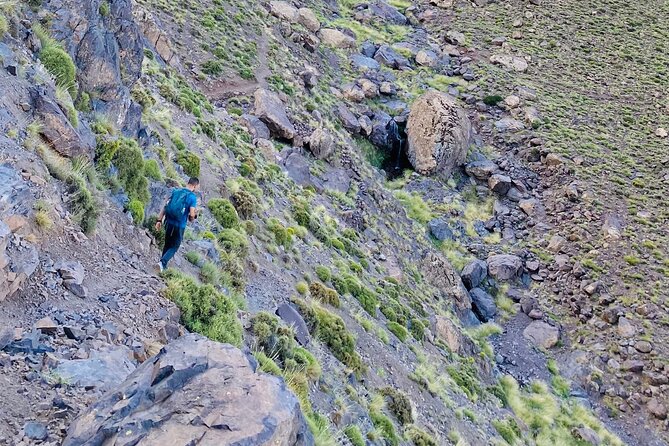 Summiting the Beautiful Atlas Mountains, Day Hike & Trek - The Mountain Market Option on Saturday and Tuesday