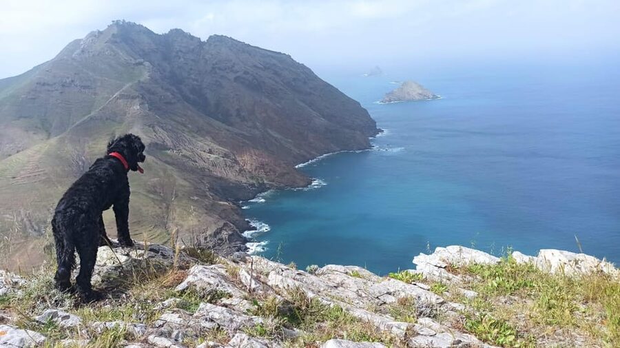 Tailored Trek: Your adventure, Your Way - A three-hour pace that leaves room for the rest of your day