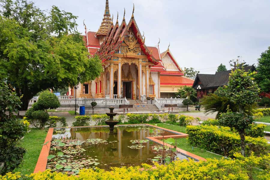 Temple and Jungle Trekking tour with Lunch at Farm-to-Table - Who will enjoy this Phuket tour most?