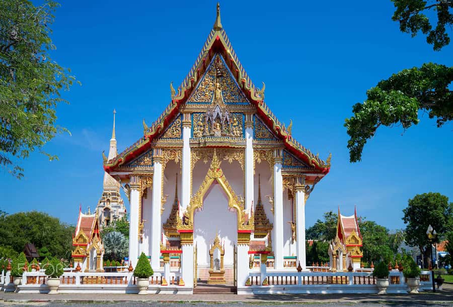 Temple and Jungle Trekking tour with Lunch at Farm-to-Table - Luang Phu Supa Temple and the chance to make merit