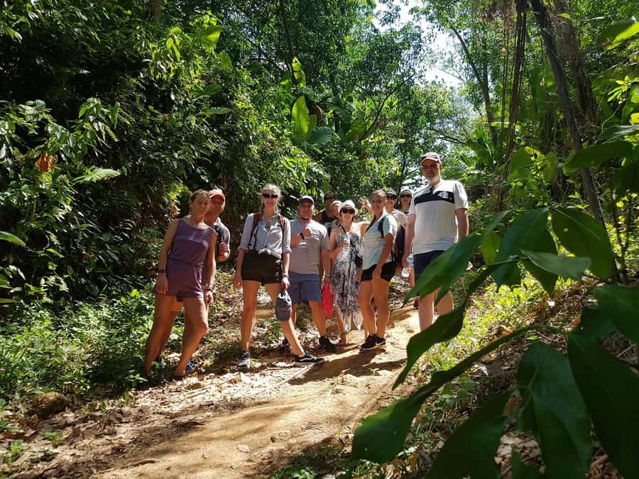Temple and Jungle Trekking tour with Lunch at Farm-to-Table - Lunch with fresh ingredients after the walking