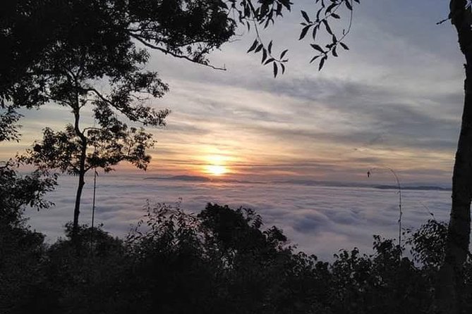 The Ultimate Hiker’s Choice - 5 days forest trek with homestay and camping - Who should book this adventure
