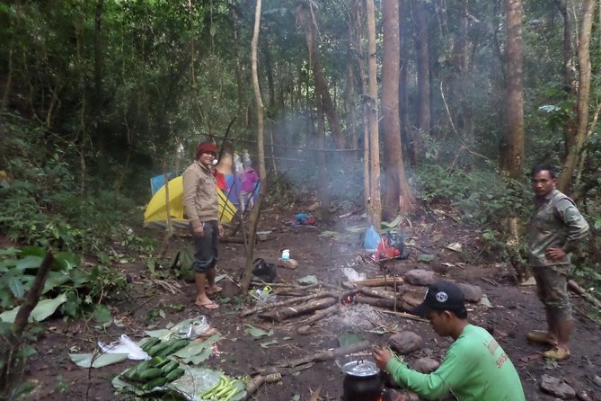 The Wild Explorer - 3 days forest trek with homestay and camping - Day two, forest skills and the high campsite