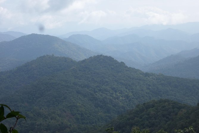 The Wild Explorer - 3 days forest trek with homestay and camping - Is $154 a fair price?