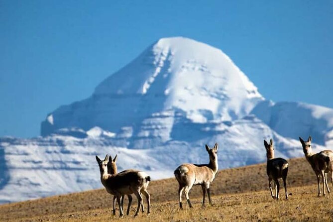 Tibet Tour 15 Days Lhasa to Kailash Trekking Small Group via EBC - What you are really booking for $2,069