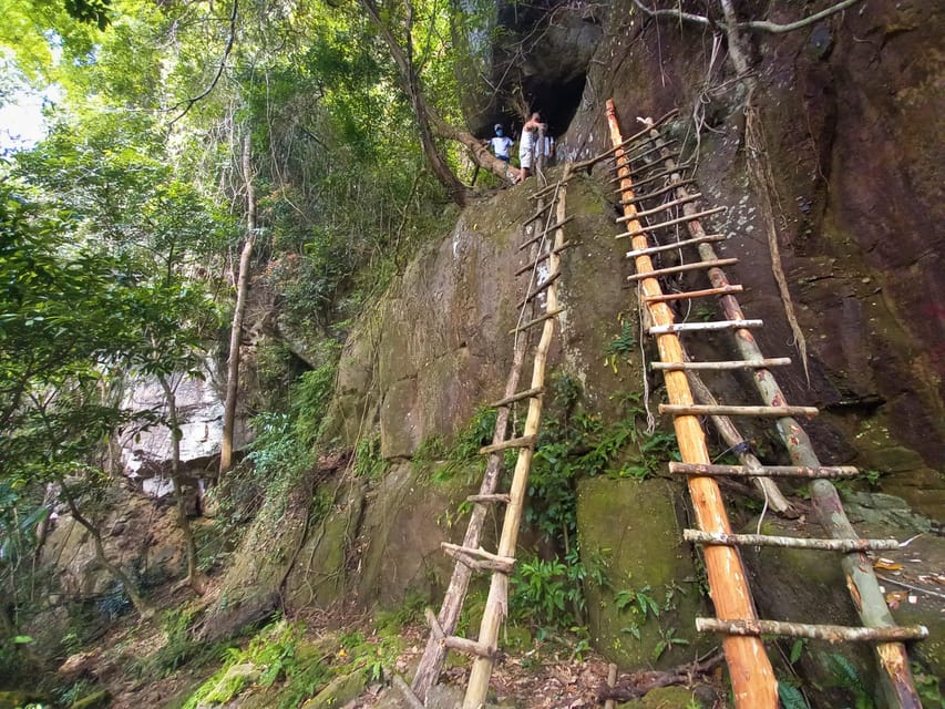 Tien Son Dinh 1-Day Trekking Tour Phu Quoc - Entering the forest and meeting the old trees