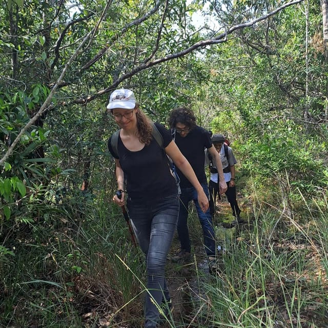 Tien Son Dinh 1-Day Trekking Tour Phu Quoc - Reaching the peak for views and a proper rest