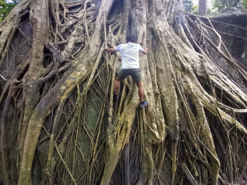 Tien Son Dinh 1-Day Trekking Tour Phu Quoc - What the $96 price includes
