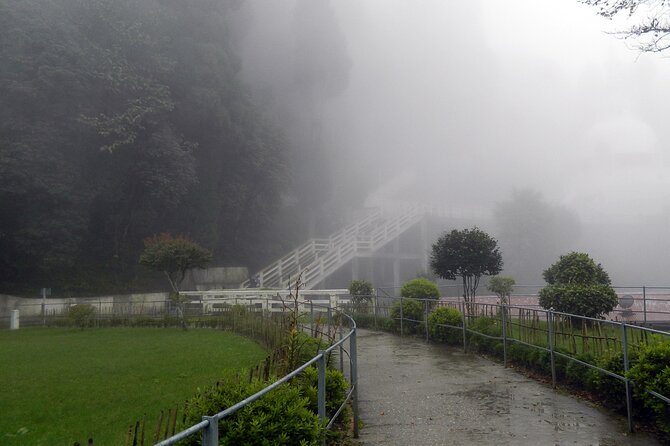 Tiger Hill Darjeeling Nature Walk (3 Hours Guided Trekking Experience) - Reaching Tiger Hill and the Himalayan viewpoint