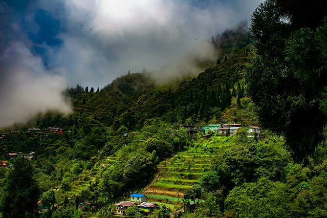 Tiger Hill Darjeeling Nature Walk (3 Hours Guided Trekking Experience) - Starting at Jorebungalow Motor Stand