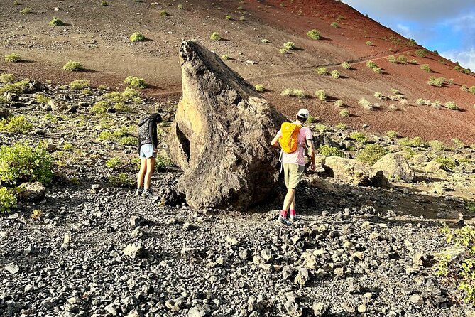 Timanfaya National Park Trekking with a Typical Canarian Snack - A Canarian aperitif beside the fallen palm tree