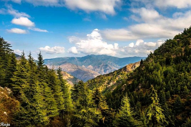 Top Tibba Trek - Mussoorie - Reaching Top Tibba and taking in the views