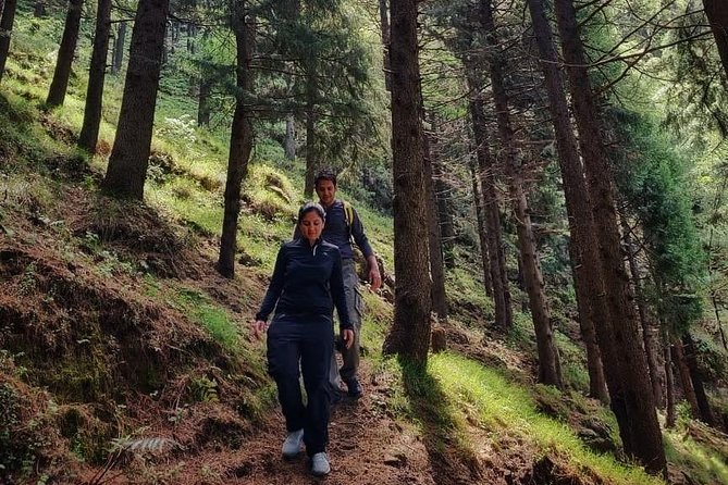 Top Tibba Trek - Mussoorie - Starting from Mall Road in Mussoorie