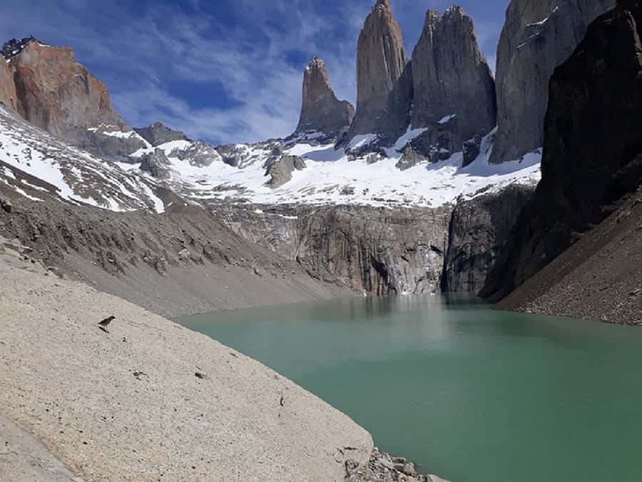 Torres del Paine: Full-Day Trekking Excursion - Key things to know before booking