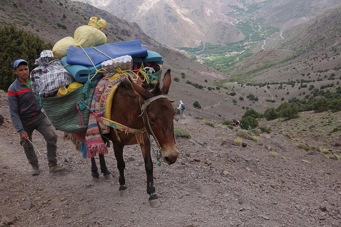 Toubkal Ascent Trek - Atlas Mountains - 2 days (Private Trek) - Walking through the valley to Sidi Chamharouch