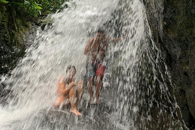 TOUR PACKAGE (jungle trekking, taxi, Room) 4 DAYS 3 NIGHTS in BUKIT LAWANG - Who should book this Bukit Lawang package?