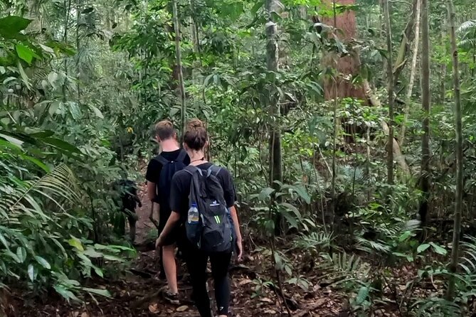 TOUR PACKAGE (Taxi, Room, Jungle Trekking) 3 Days in BUKIT LAWANG - Traditional rafting back to Bukit Lawang