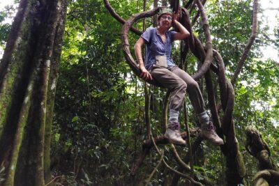 TOUR PACKAGE (Taxi, Room, Jungle Trekking) 3 Days in BUKIT LAWANG