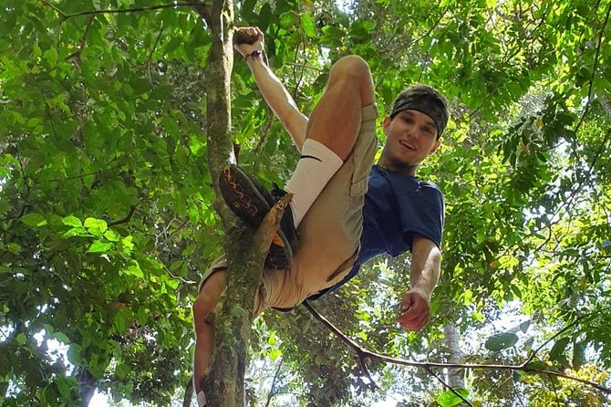TOUR PACKAGE (Taxi, Room, Jungle Trekking) 3 Days in BUKIT LAWANG - Timing, cancellation, and practical planning