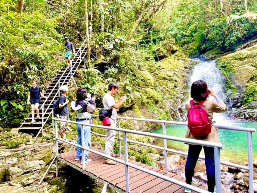 TOUR TREKKING HUE - BACH MA NATIONAL PARK DAILY - Standing above the clouds at 1,450 meters