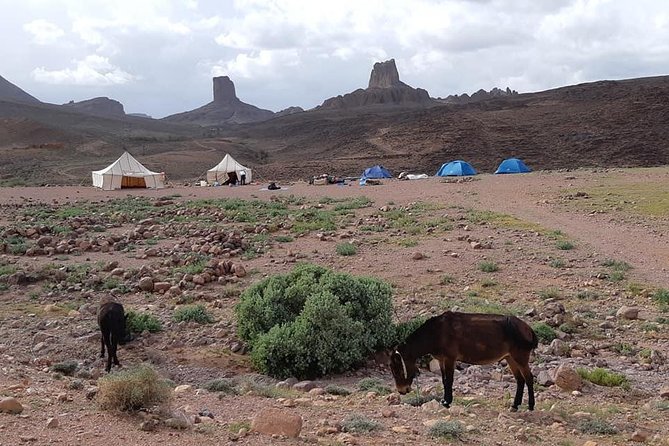 Trek Jebel Saghro Morocco 8 Days - Day 7: the long return through Ouarzazate and the Draa Valley