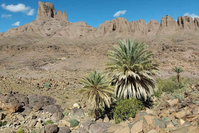 Trek Jebel Saghro Morocco 8 Days - Day 2: crossing the High Atlas to Dades country