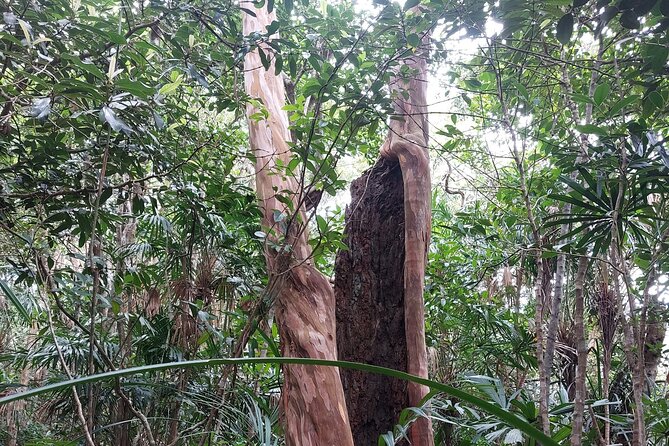 Trek Nui Chua Experience 2D1N, Night in the Jungle - Vinh Hy Bay - The 4.5-kilometer uphill walk