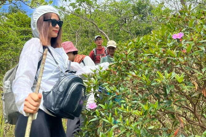 Trek Nui Chua Experience 2D1N, Night in the Jungle - Vinh Hy Bay - What the $102.80 price includes