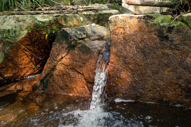 Trek Nui Chua Experience 2D1N, Night in the Jungle - Vinh Hy Bay - Reaching the streamside base camp