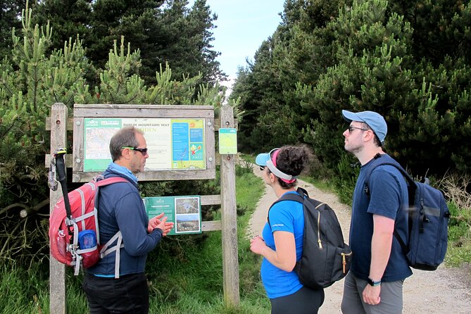 Trek the Tombs and Trails in the Dublin Mountains - The Dublin Mountains Way and the high viewpoint