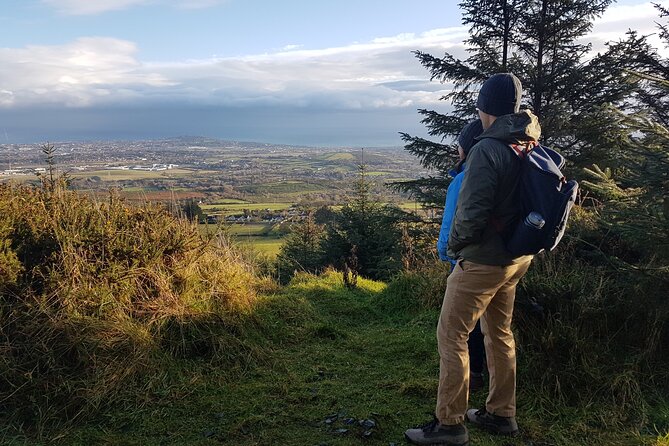 Trek the Tombs and Trails in the Dublin Mountains - Wild berries and the simple pleasure of stopping
