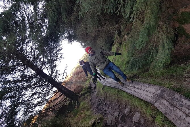 Trek the Tombs and Trails in the Dublin Mountains - Forest paths, rural roads, and The Hazel House