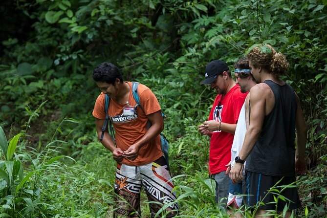 Trek to a Jungle Waterfall - What the 1.6-kilometer jungle walk is like