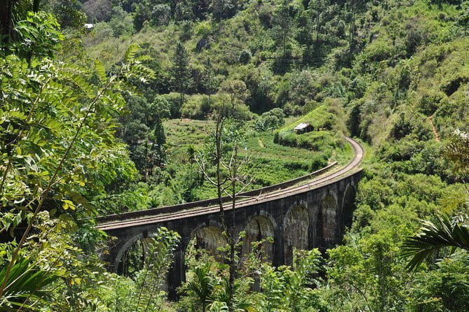 Trek to Little Adam's Peak and Nine Arches Bridge In Ella - Why this Ella hike works so well