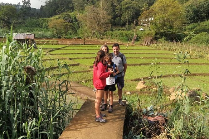 Trek to Little Adam's Peak and Nine Arches Bridge In Ella - Climbing Little Adam’s Peak at 1,141 meters
