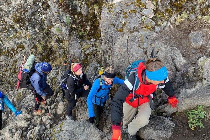 Trek To Mount Kilimanjaro - Why the Lemosho Route Is the Right Idea