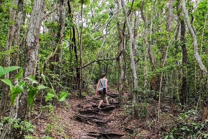 Trek Tours Hiking Experience in Antigua - Heat, rain, and the gear you should bring