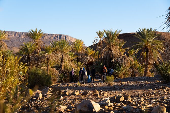 Trekking 8 days in the Moroccan desert from Marrakech - A free afternoon with camels, music, and stars