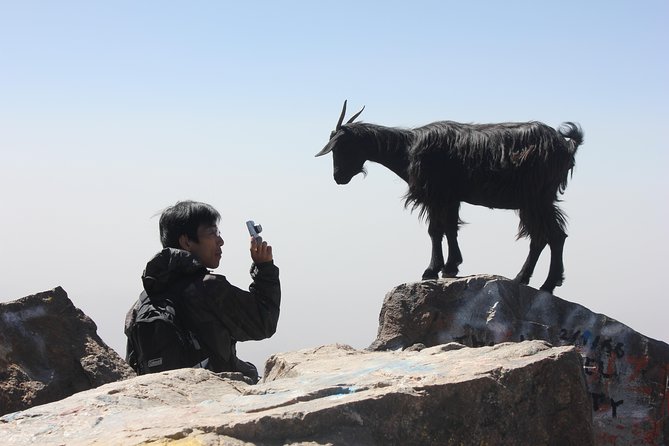 Trekking and Hiking in Morocco 2 Day trek in Atlas Mountains Berber villages - Key points to know before you book